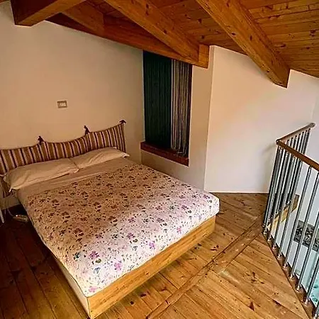 Bombyx Bergamo